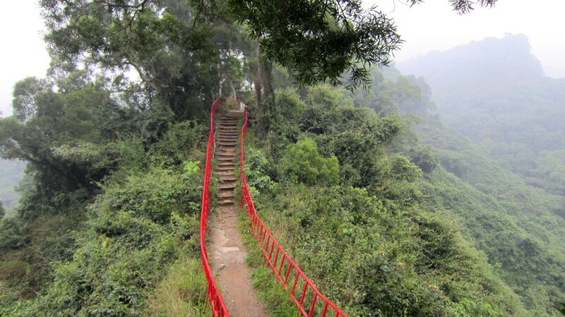 Red Staircase in Forest