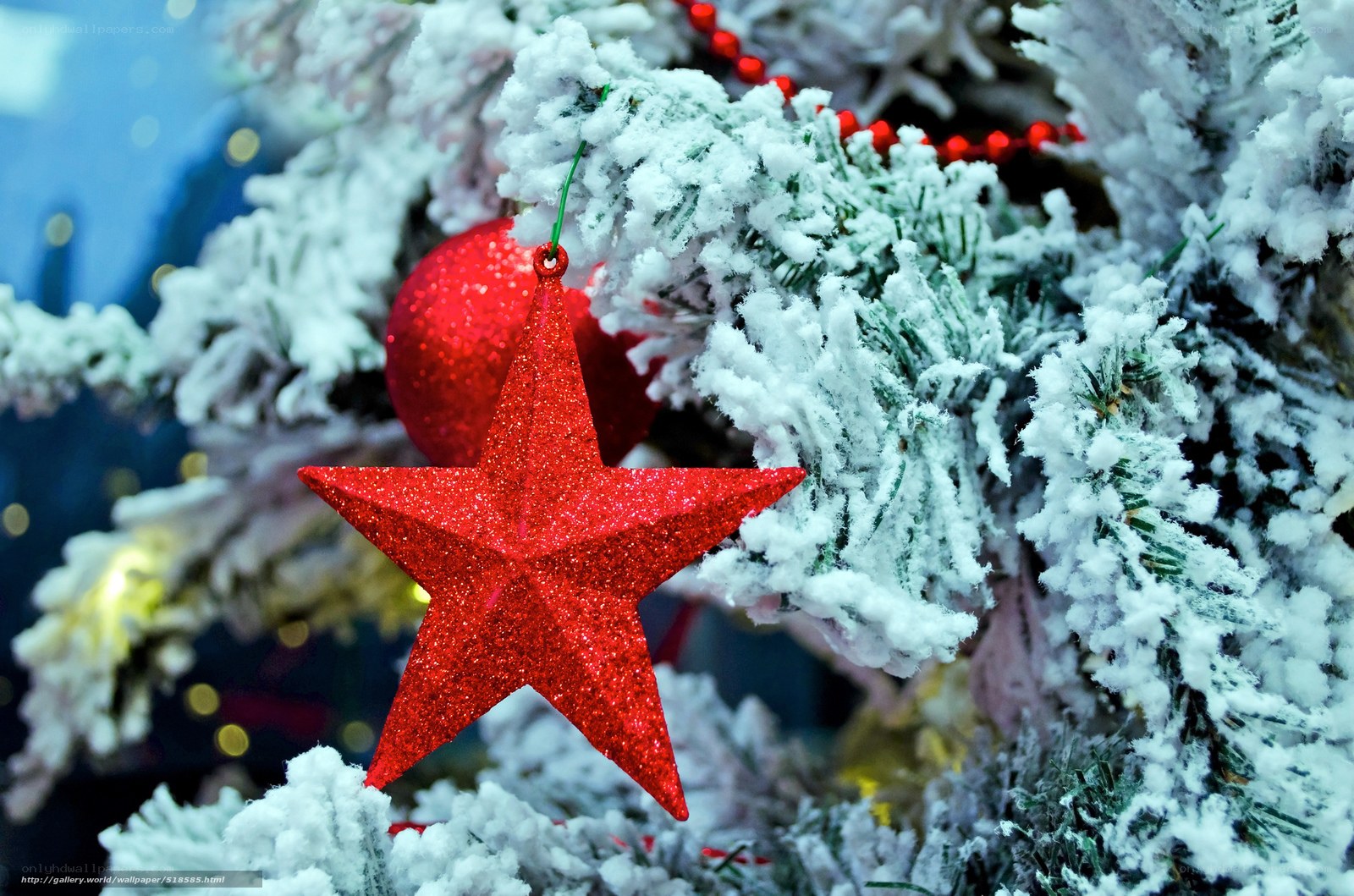 Red star on snowy tree