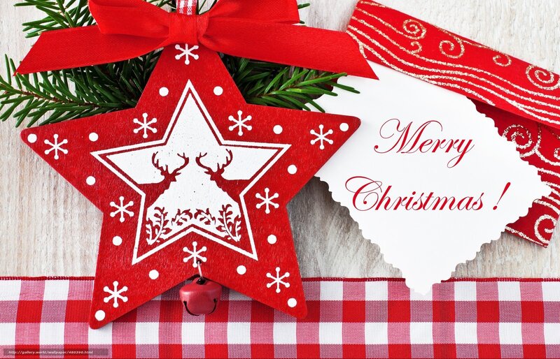 Red Star Ornament — Festive, Winter, Photograph, Pine Branches