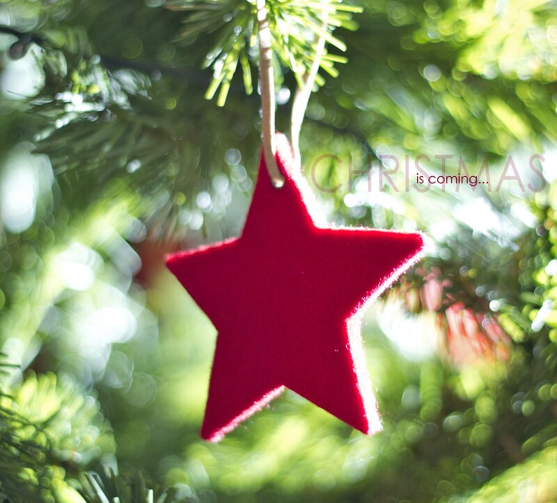 Red Star Ornament — Festive, Winter, Photograph, Tree Branch