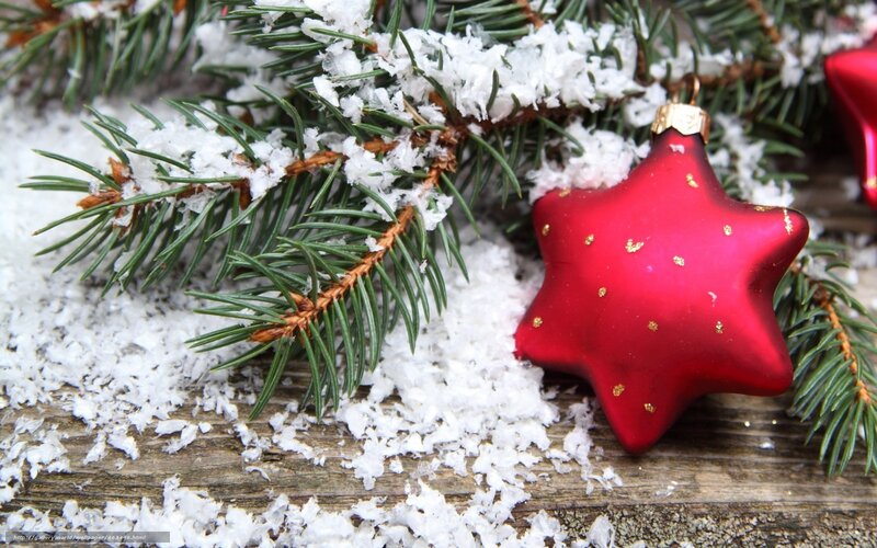 Red star ornament on snowy branch
