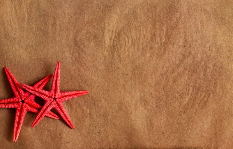 Red Starfish on Brown Paper
