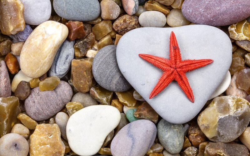 Red Starfish on Heart Rock