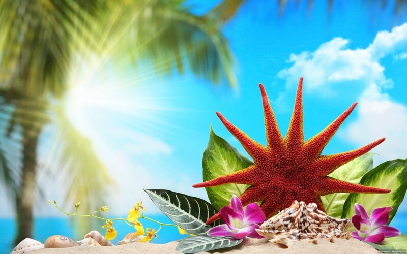 Red Starfish on Sand — Blue