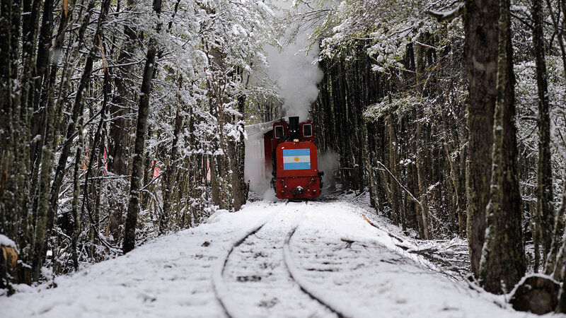 Red Steam Train in Forest