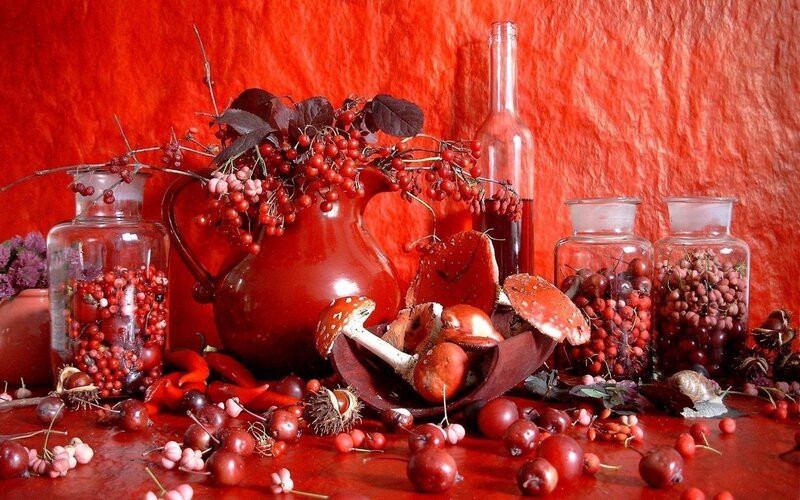 Red still life with berries and mushrooms