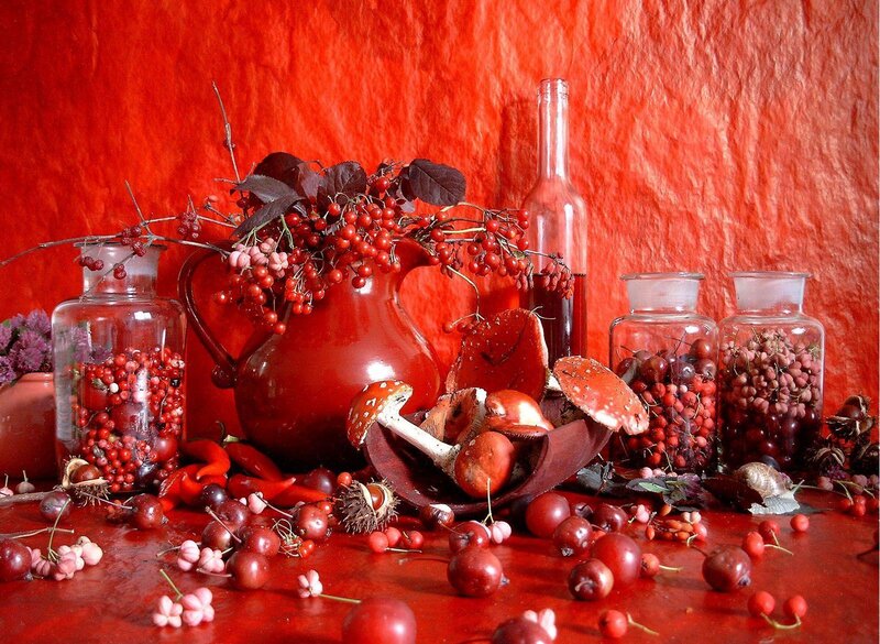Red still life with berries and mushrooms