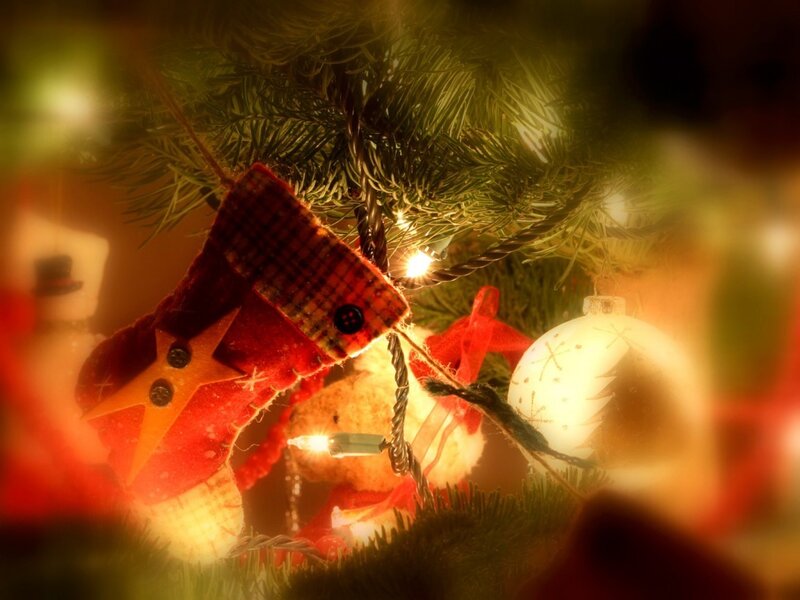Red Stocking on Tree