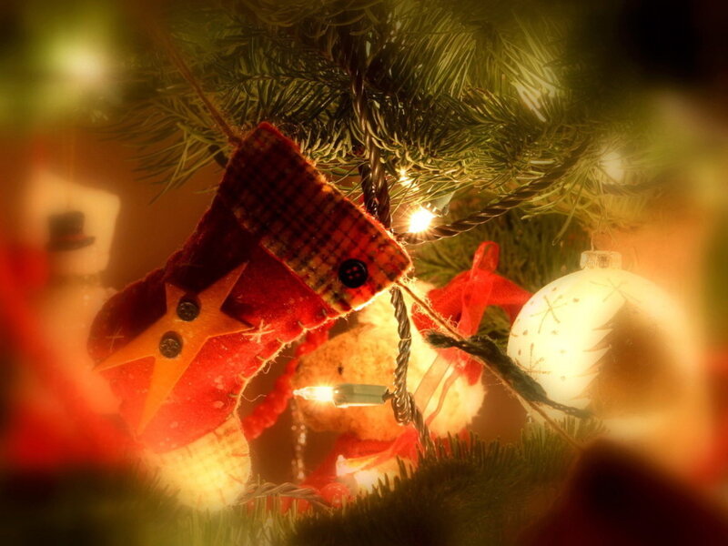 Red Stocking on Tree — Warm