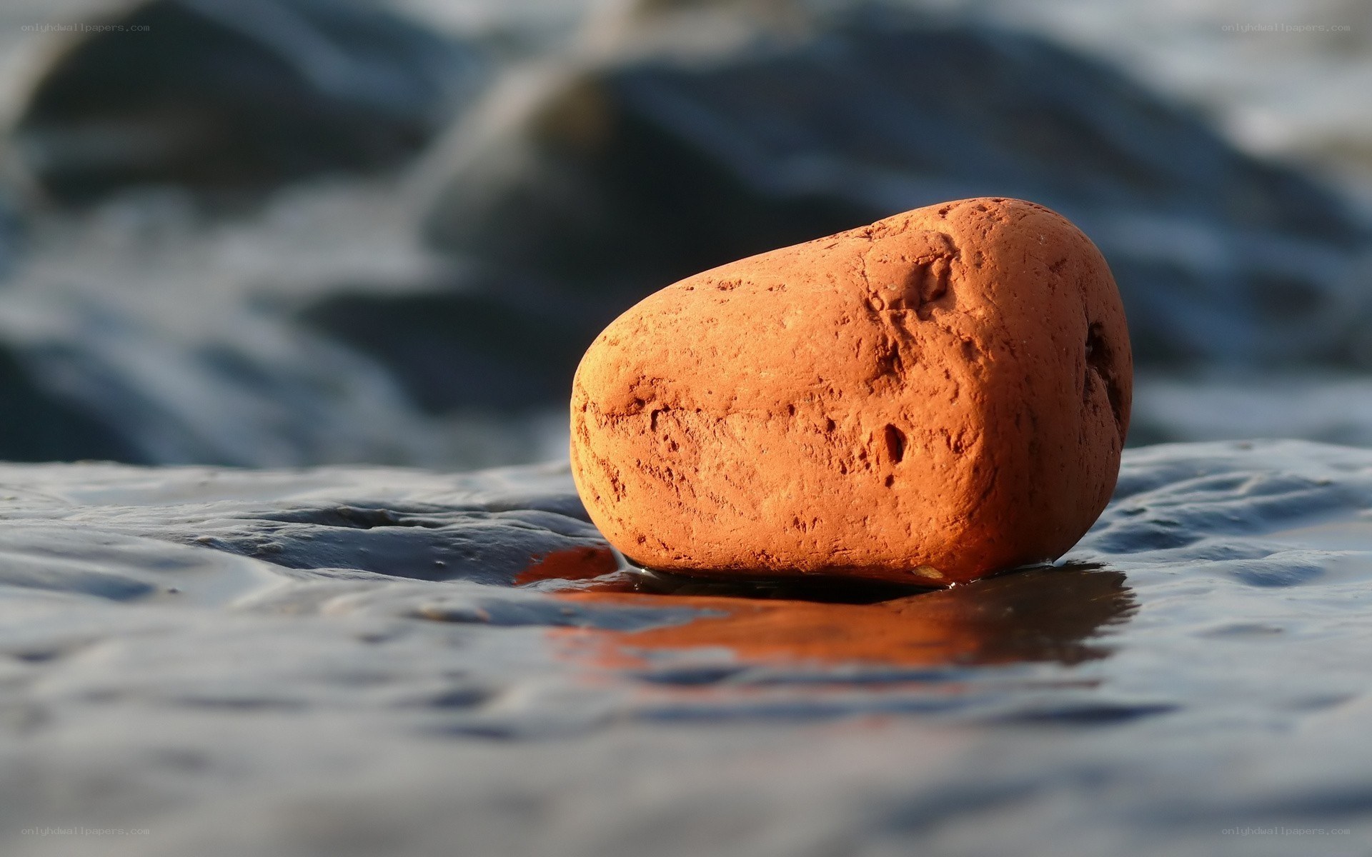 Red stone on wet sand