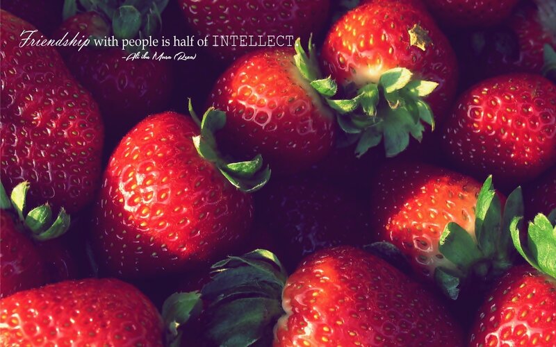 Red Strawberries — Dramatic