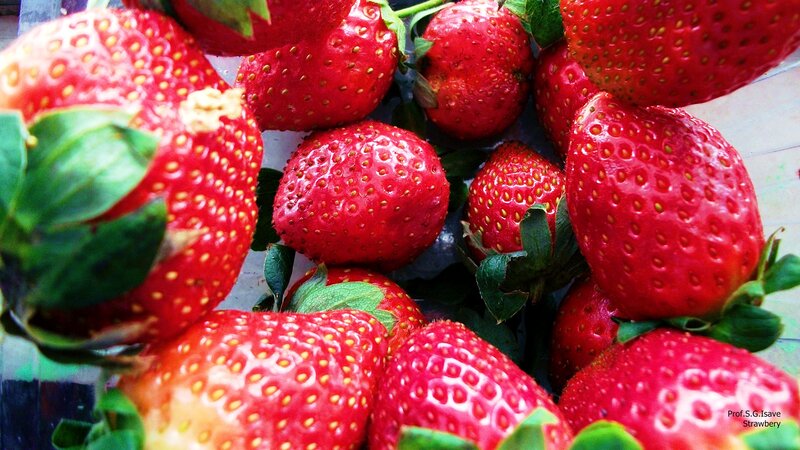 Red Strawberries in a Pile