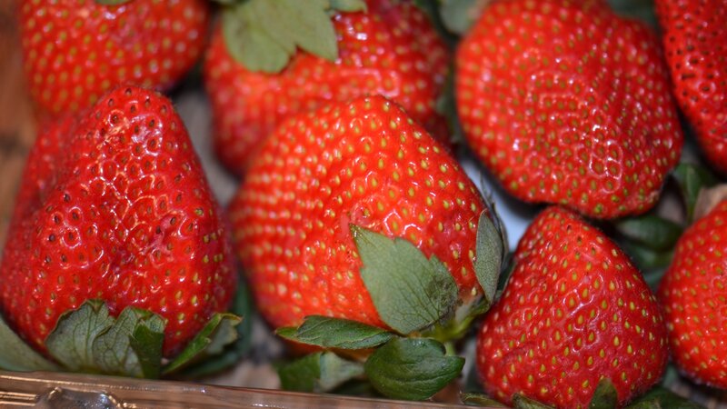 Red Strawberries in Container