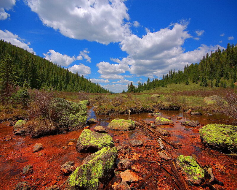 Red stream in forest valley