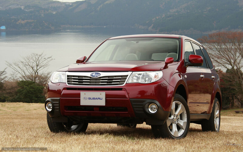 Red Subaru Forester by a lake