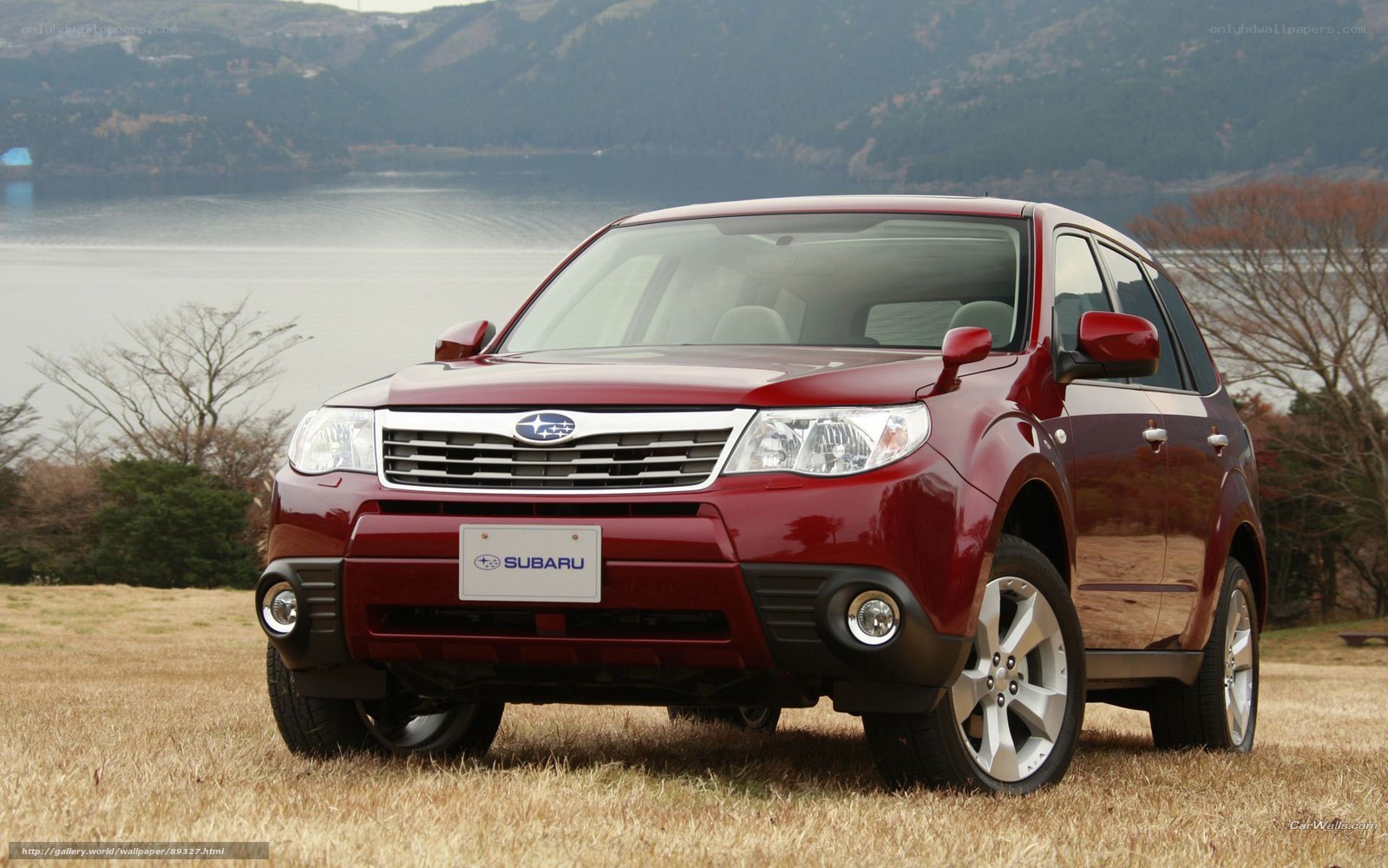 Red Subaru Forester by a lake