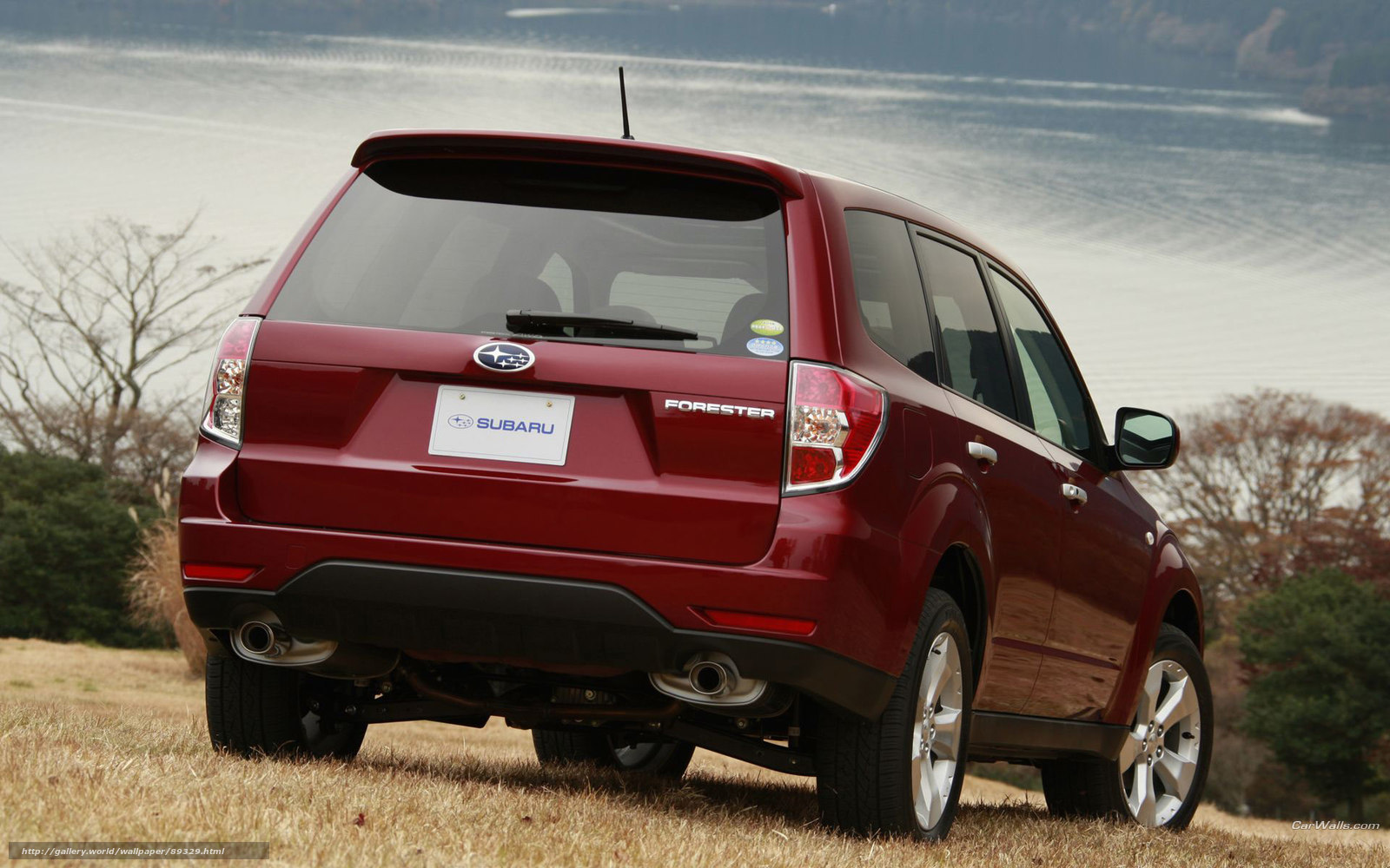 Red Subaru Forester by the water