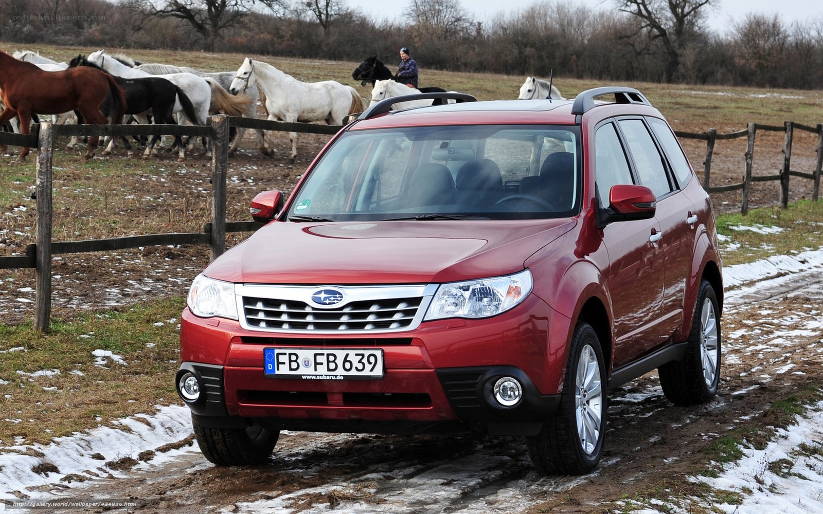 Red Subaru Forester in a field