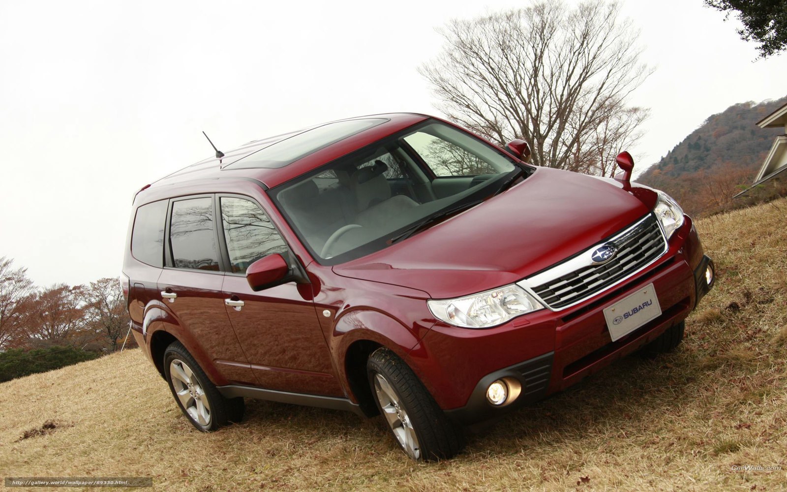 Red Subaru Forester on a hill