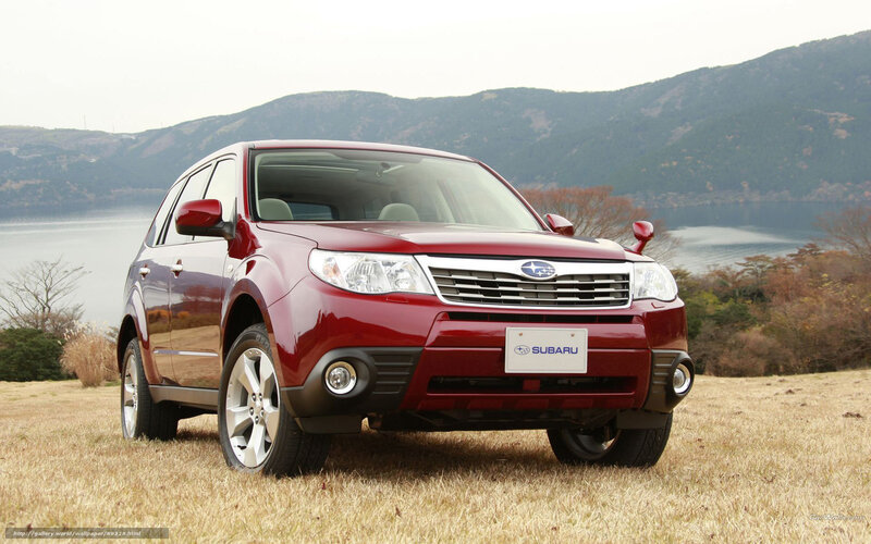 Red Subaru Forester