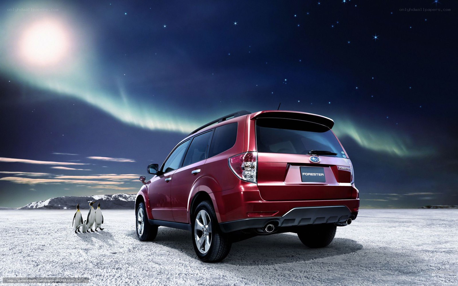 Red Subaru Forester under aurora
