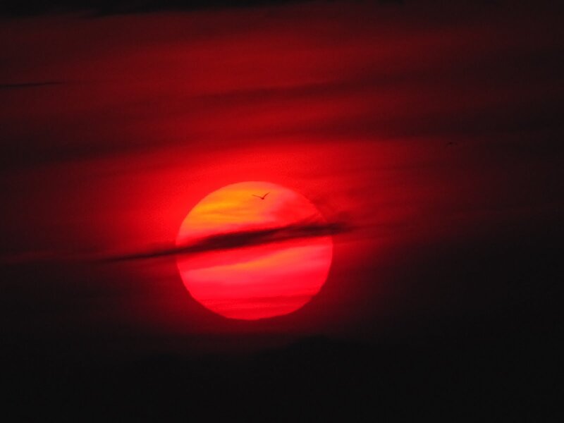 Red Sun at Sunset — Dramatic