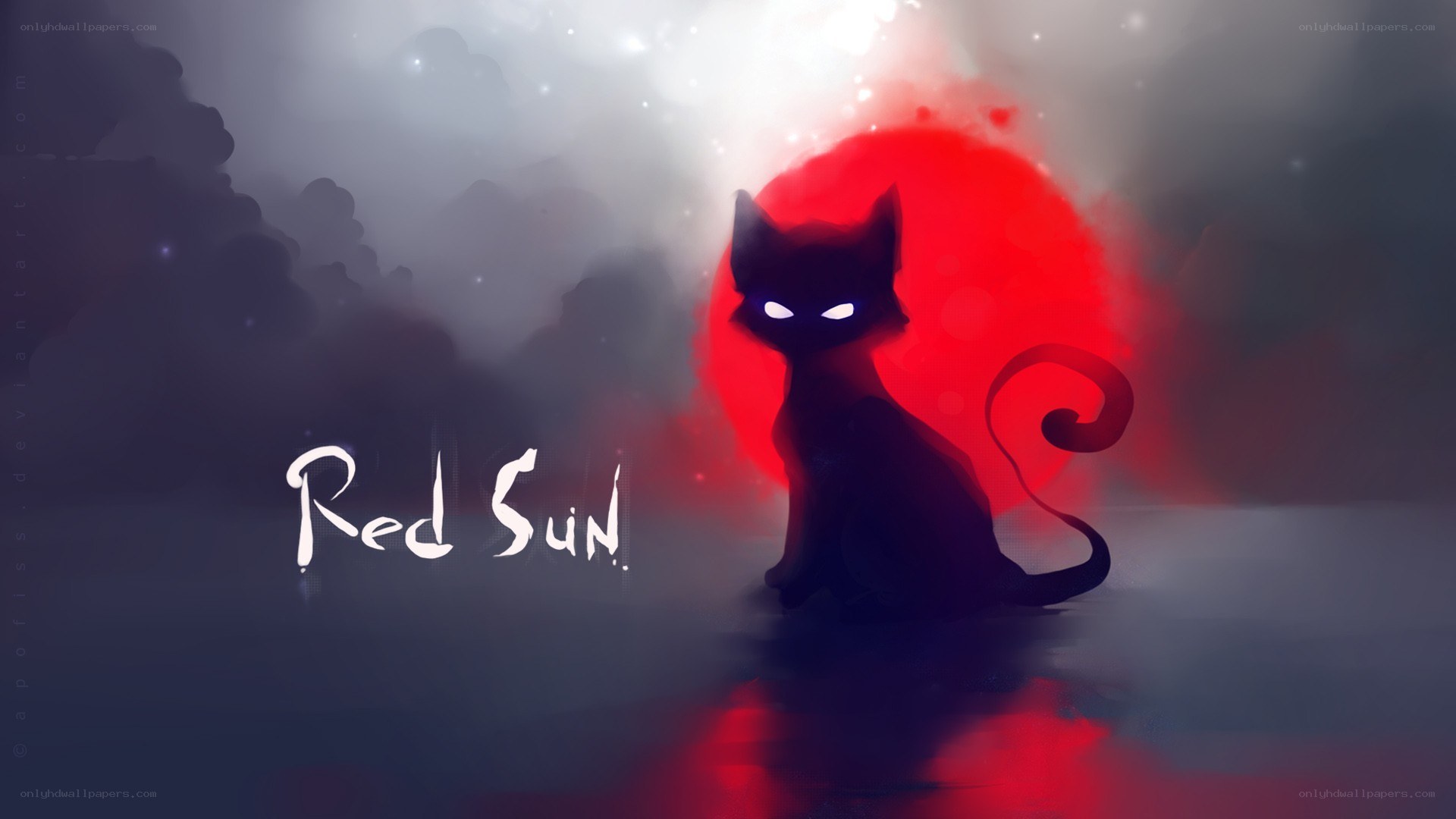 Red Sun Cat