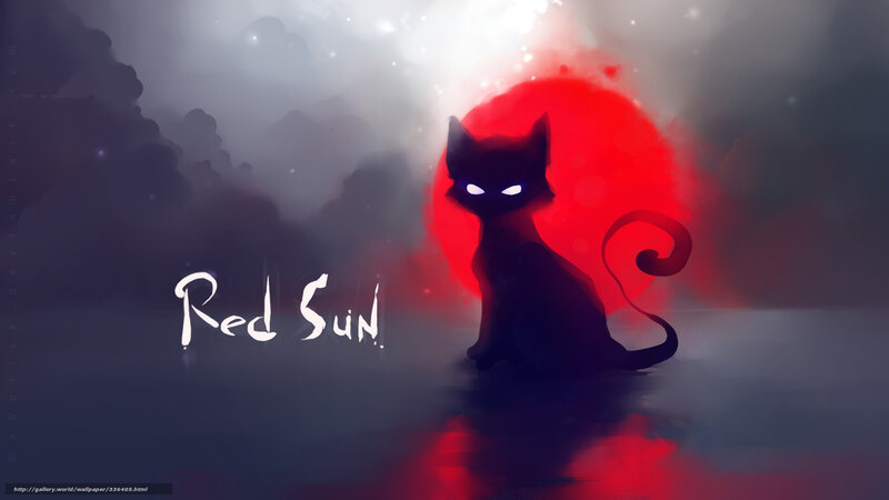 Red Sun Cat