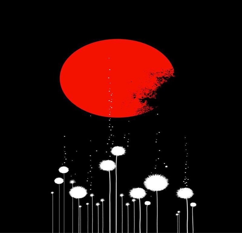 Red sun over dandelions