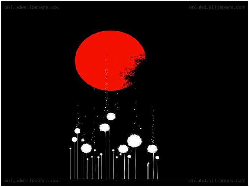 red sun over dandelions