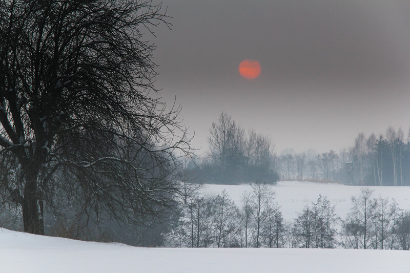 Red Sun over Snowy Field — White