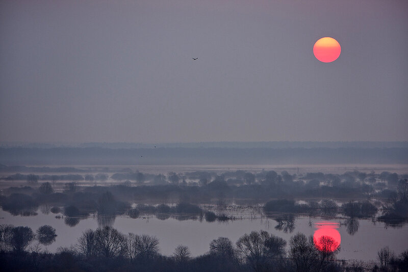 Red Sun over Wetland