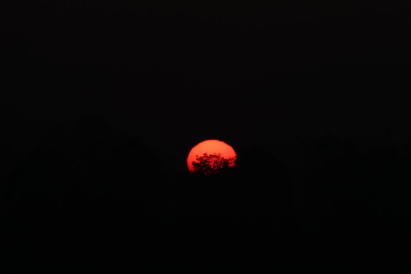 Red Sun Setting