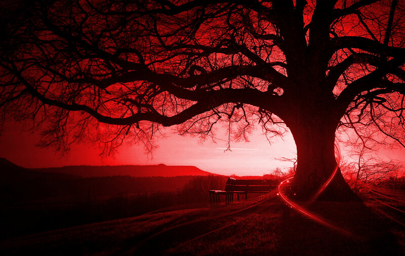Red sunset by a tree