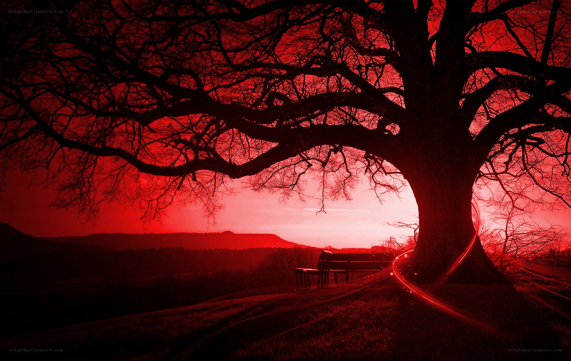 Red sunset by a tree