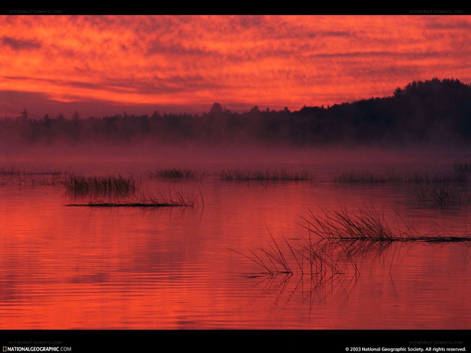 Red sunset over a misty lake
