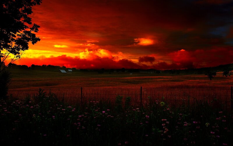 Red Sunset over Field