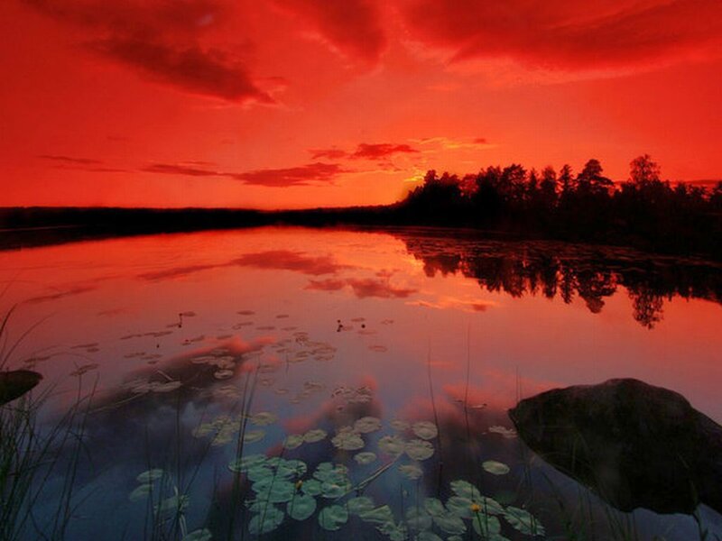 Red Sunset over Lake — Dramatic, Photograph, Trees