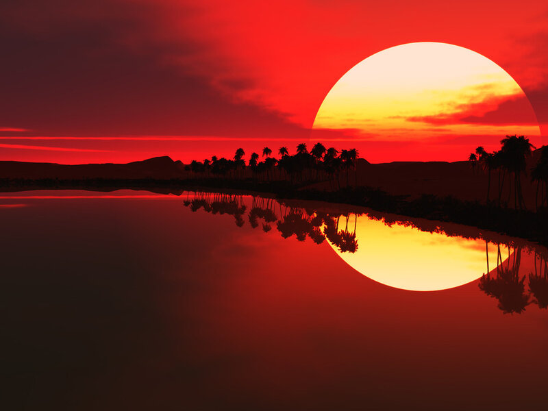 Red sunset over palm trees