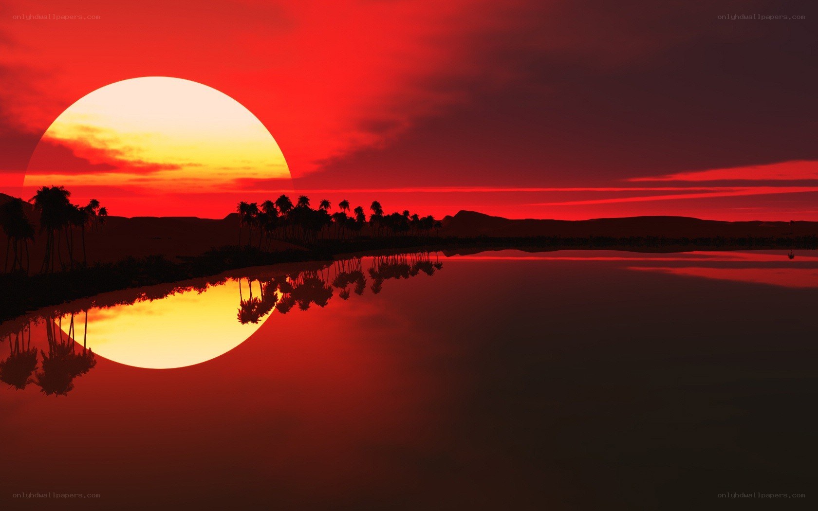 Red sunset over palm trees