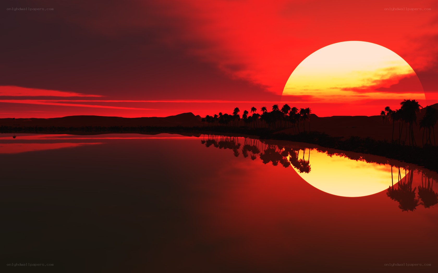 Red sunset over palm trees