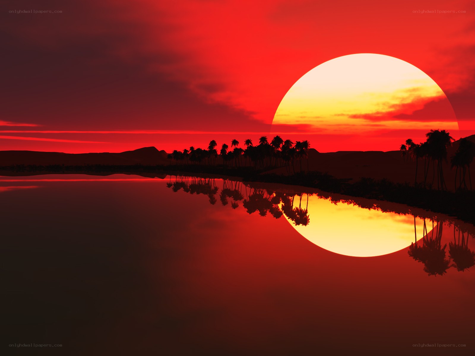 Red sunset over palm trees