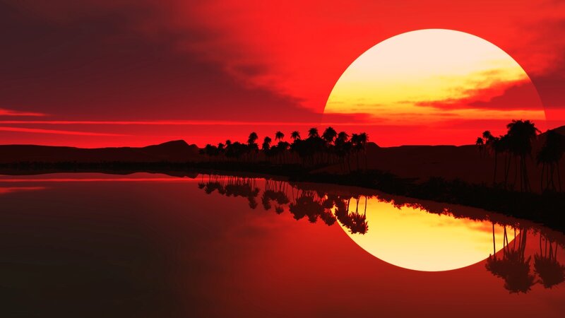 Red sunset over palm trees