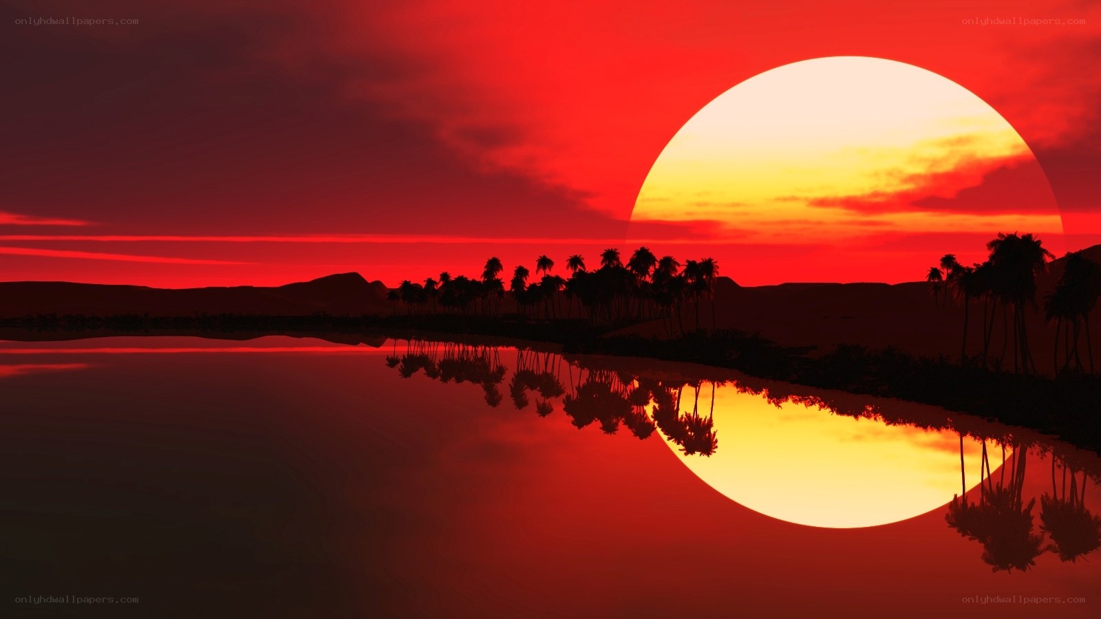 Red sunset over palm trees