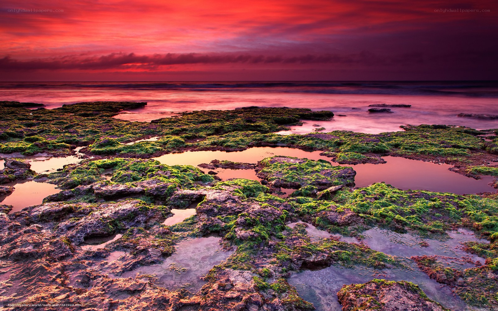 Red sunset over rocky shore