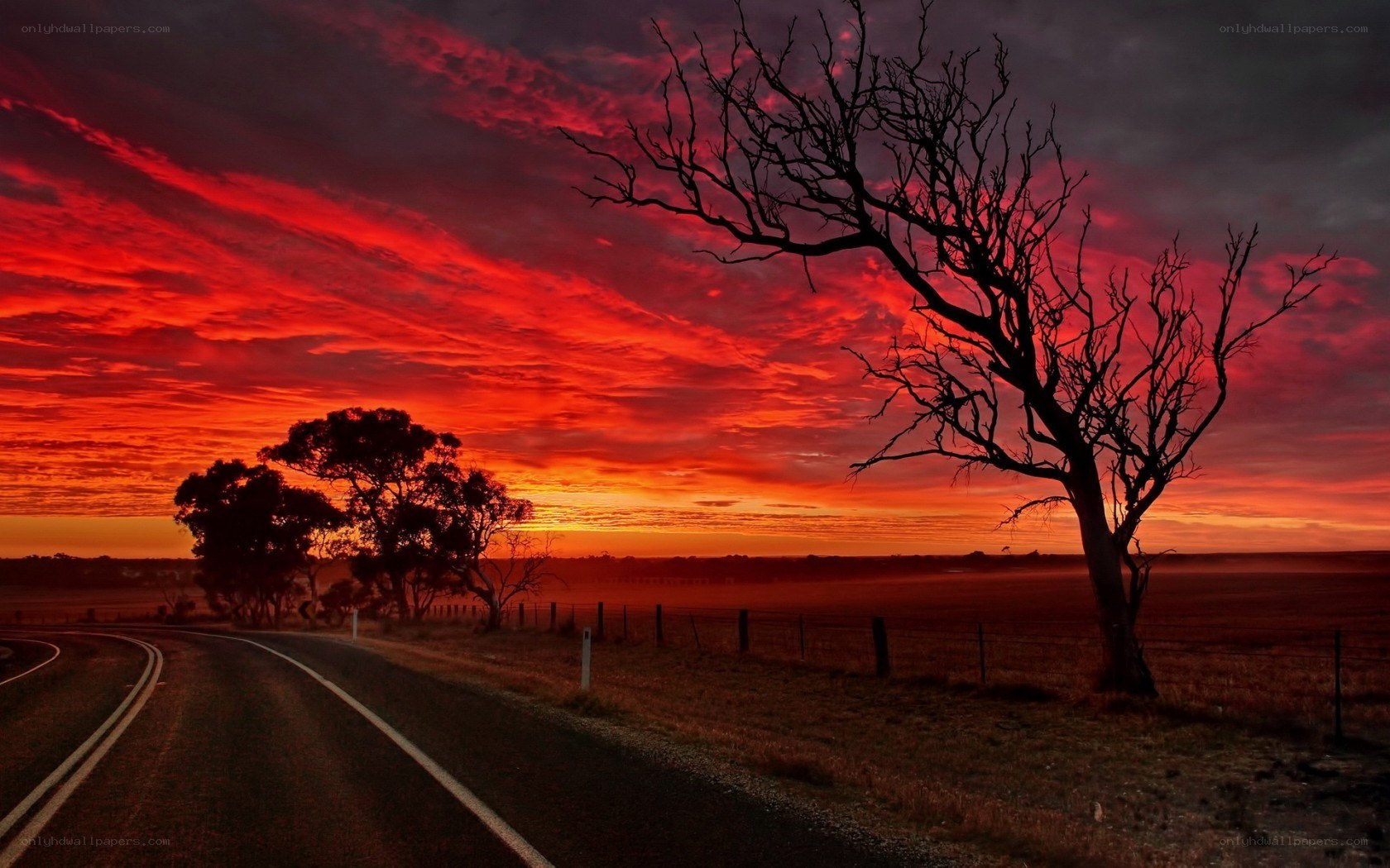 Red sunset over rural road
