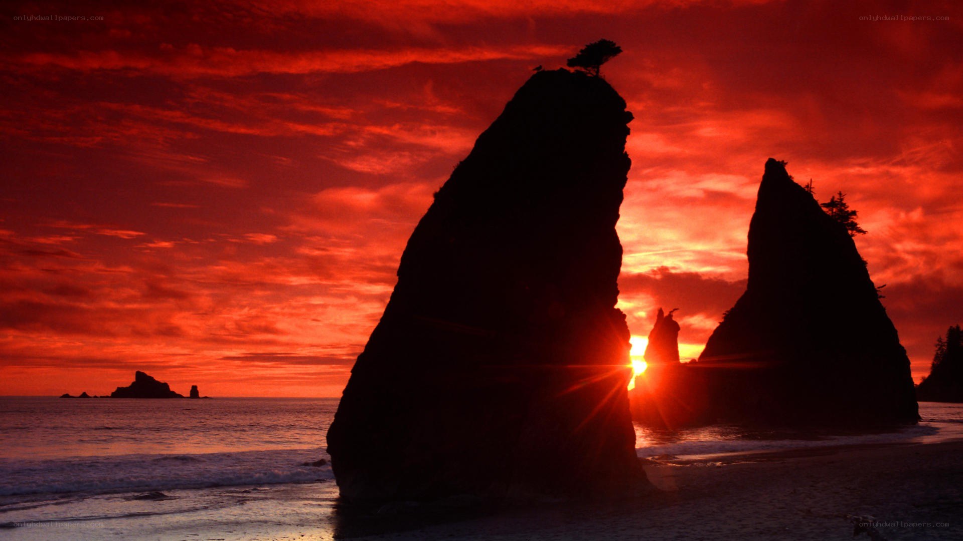 Red sunset over sea stacks