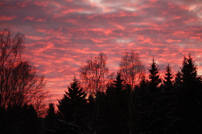 Red sunset over silhouetted trees
