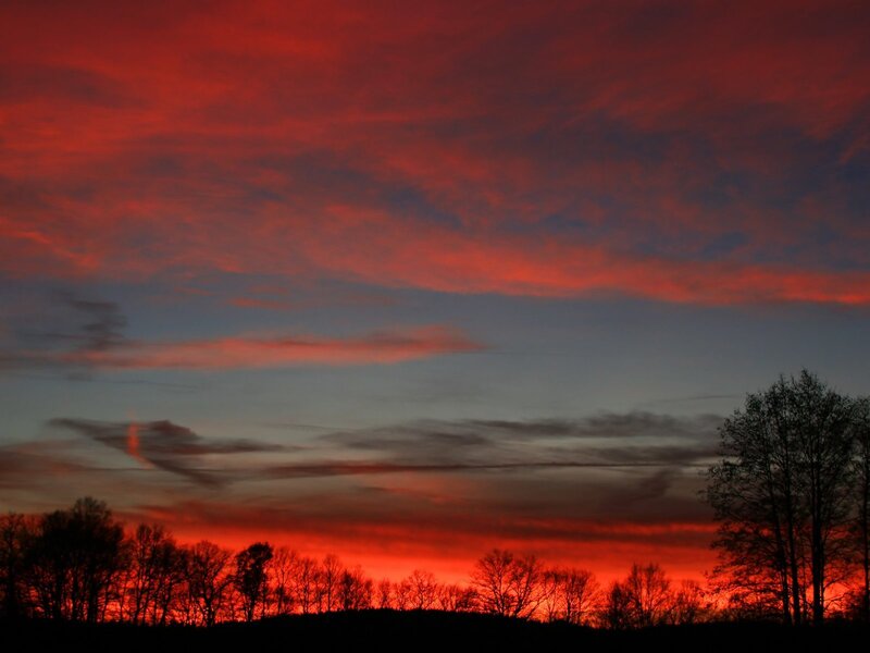 Red sunset over silhouetted trees