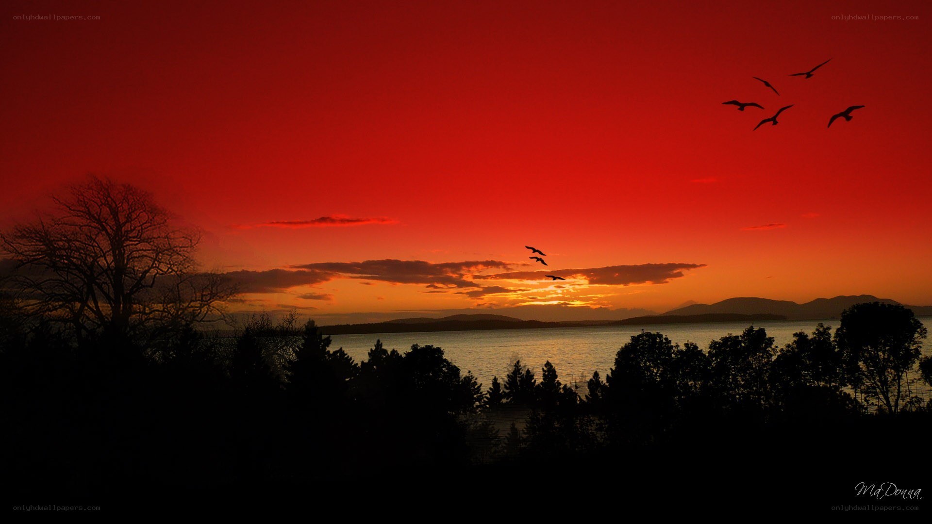 Red sunset over the water